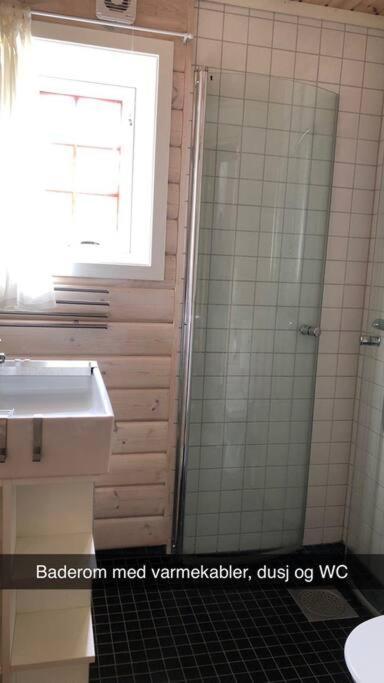 Koselig Familiehytte Pa Vakre Dagali - Naer Geilo Ngoại thất bức ảnh